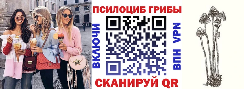Галлюциногенные грибы Psilocybine cubensis  Новоузенск 
